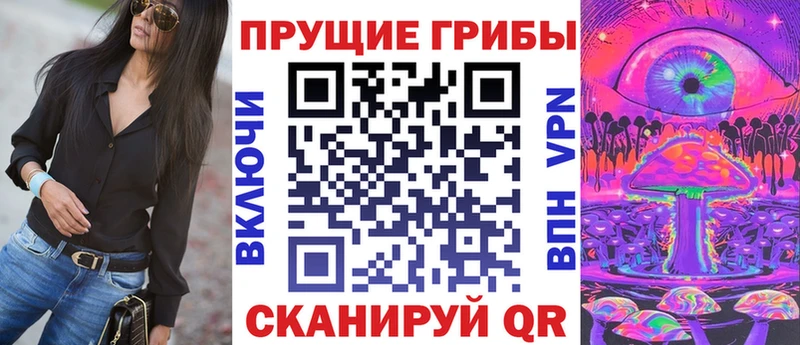Купить закладки  Тамбов  Галлюциногенные грибы Magic Shrooms 